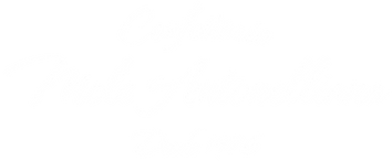 Logo Mole Antonelliana  - CNPJ 19.287.036/0001-26